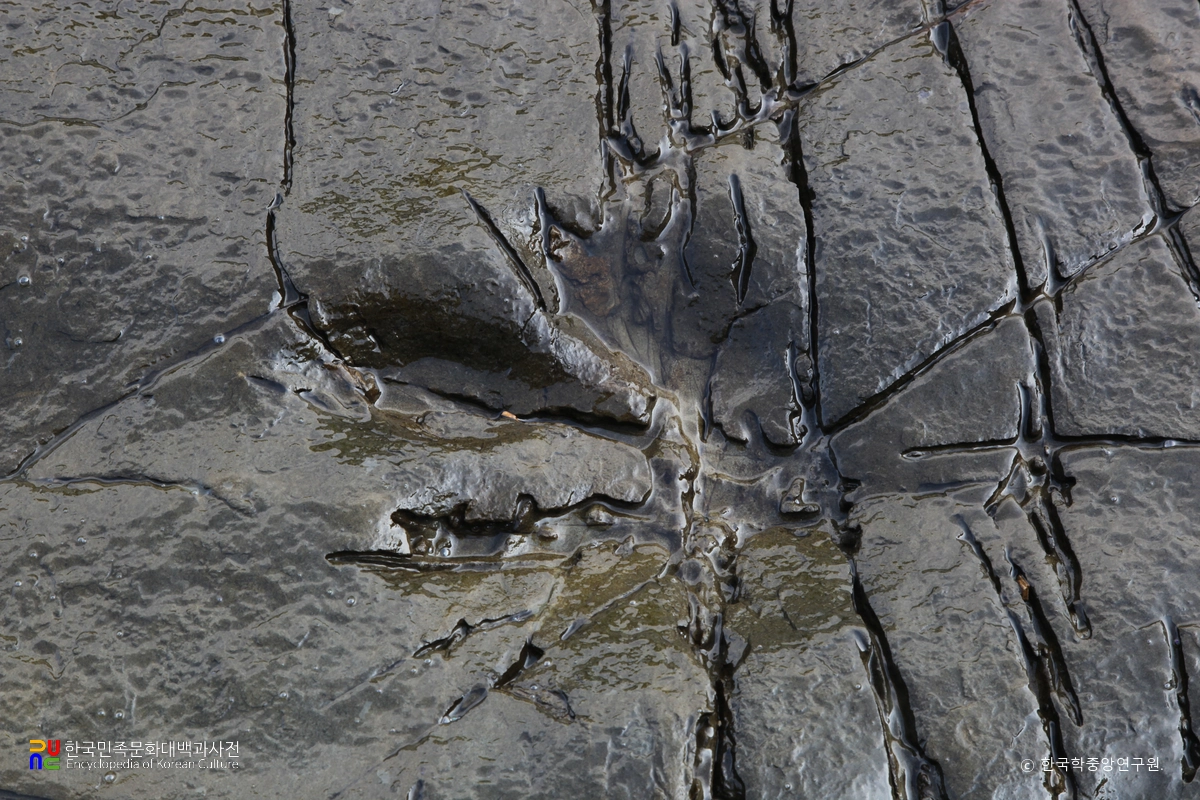 남해 가인리 화석산지