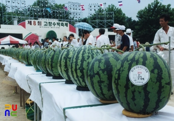 고창수박