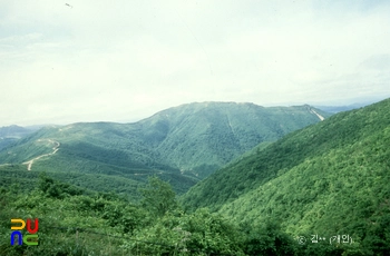 대우산