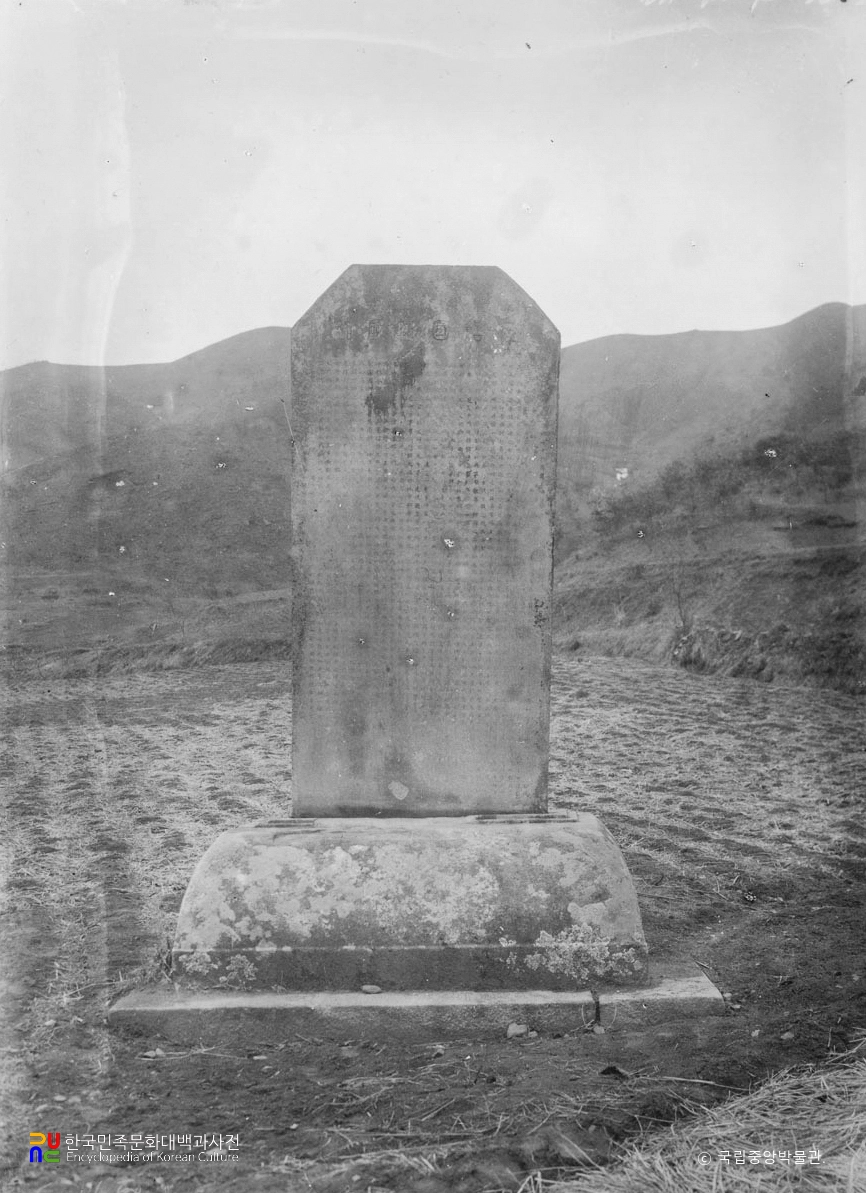 충주 억정사 대지국사비