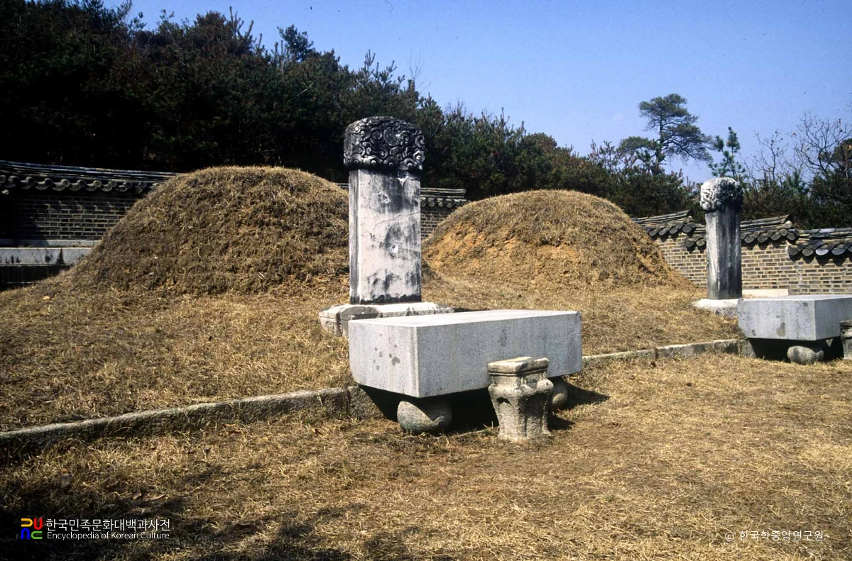 남양주 조선 광해군묘 정측면