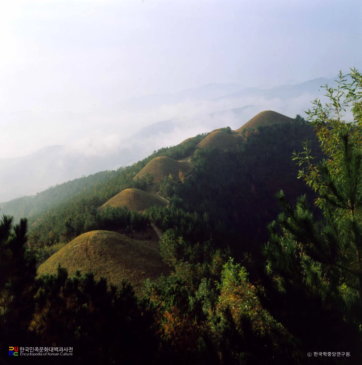 고령 지산동 고분군