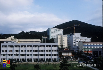 부산여자대학교