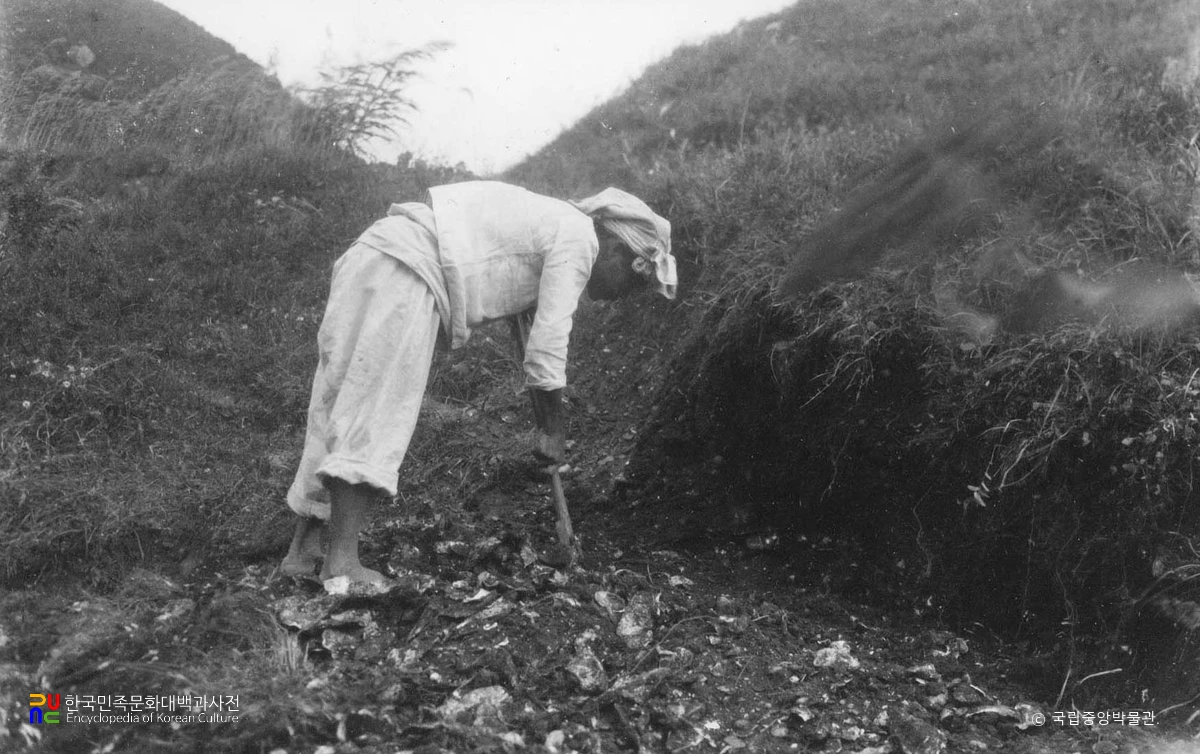 양산 남부동 패총 발굴 모습