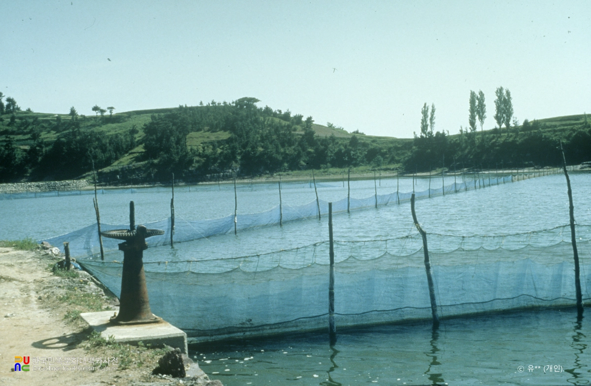 남해 새우류 양식장
