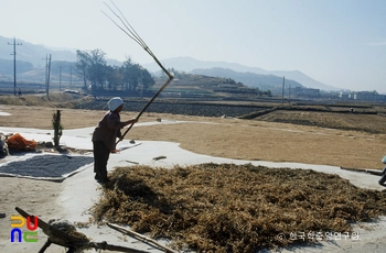 도리깨질