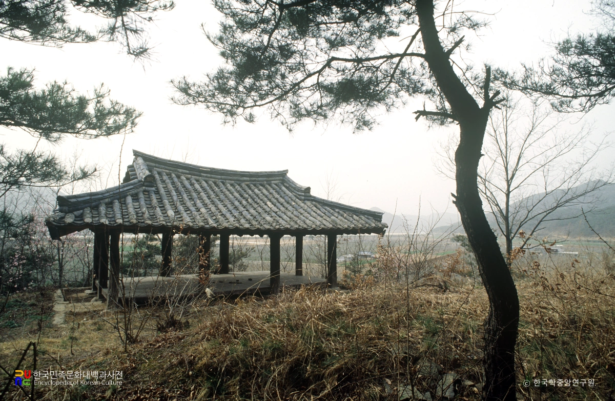 예천 용두정 전경