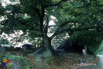 용수동 당산