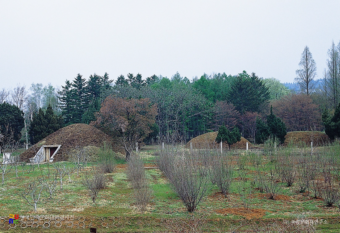 대성산 <b>고구려</b> 고분군
