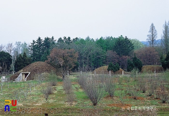 평양 대성산 고구려 고분군 전경