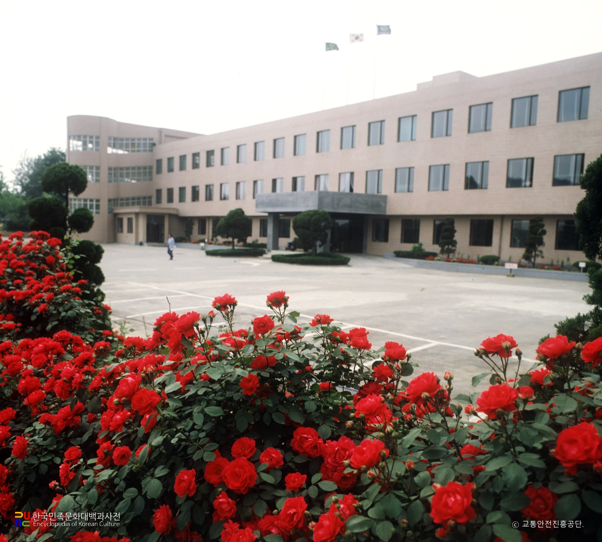 교통안전진흥공단