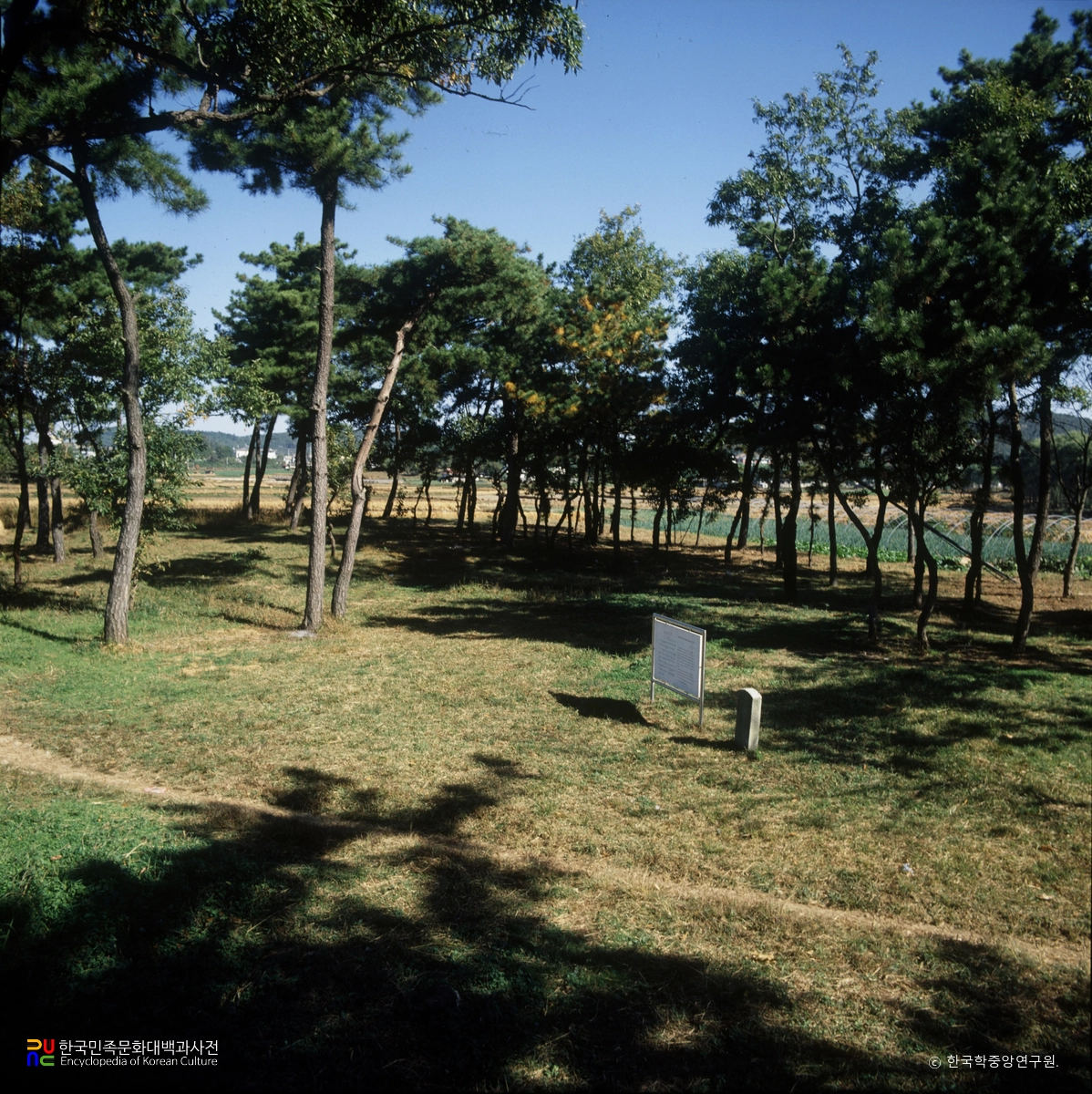 부여 군수리 사지