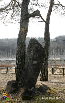 영주 청구리 입석 정측면