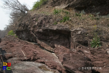 보성 비봉리 공룡알화석 산지