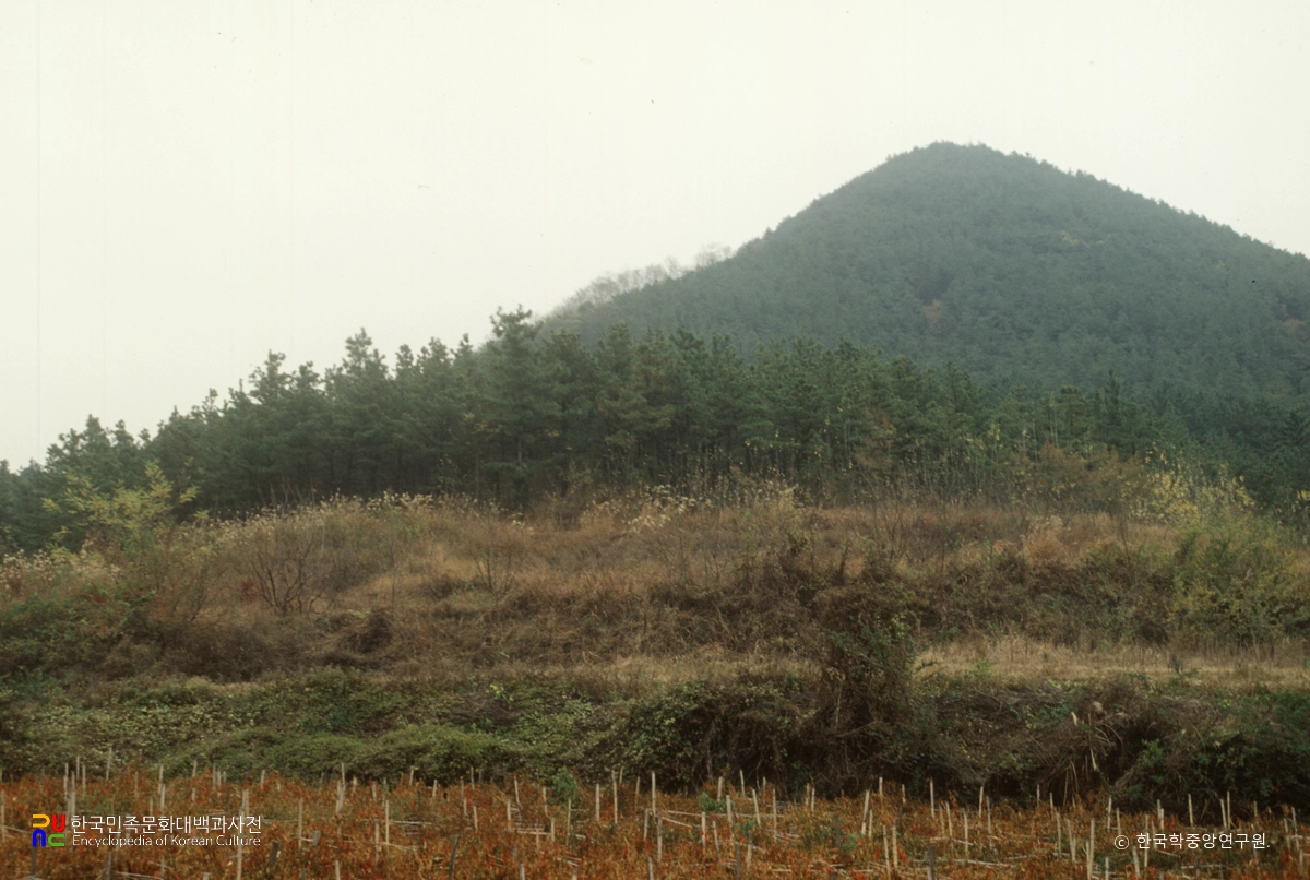 창녕 합리 고분군