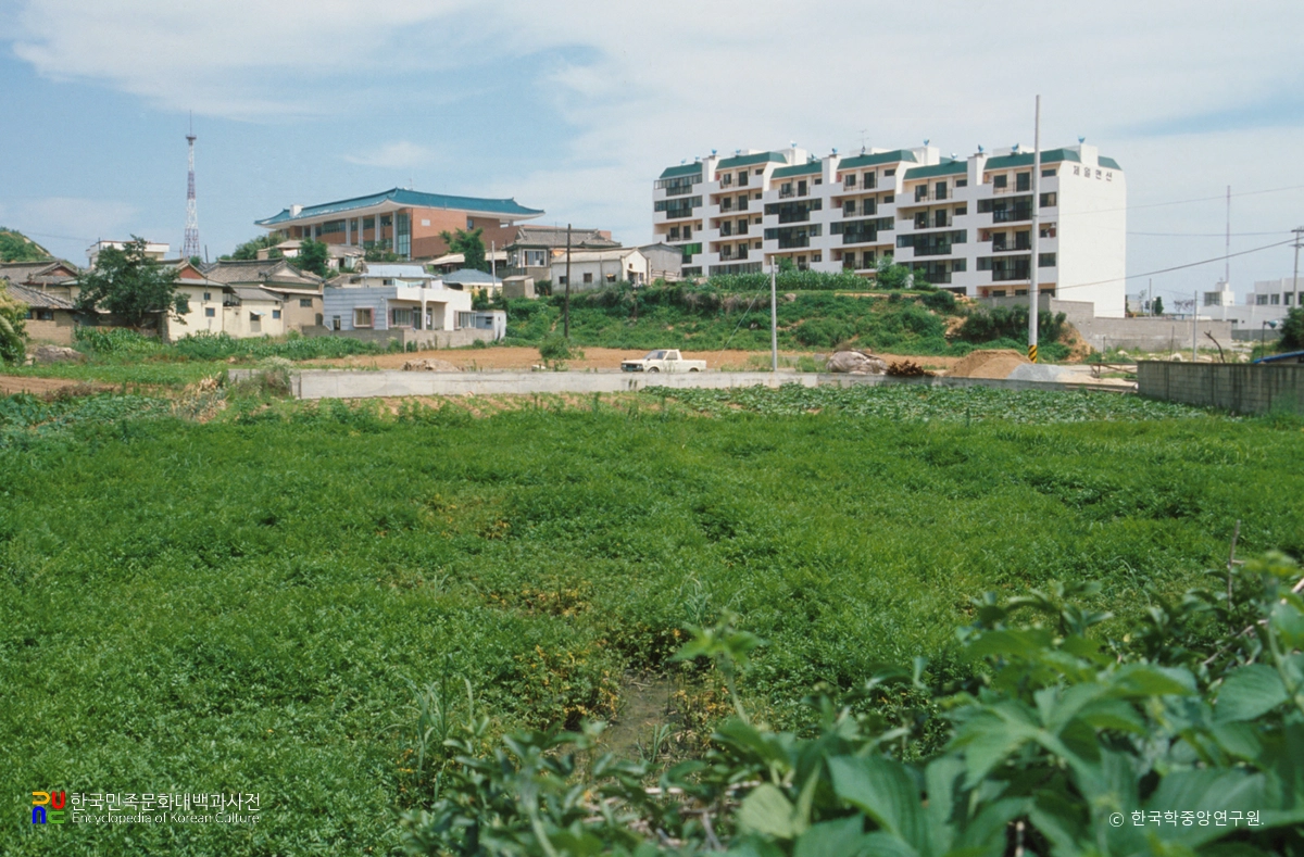김해 부원동 유적