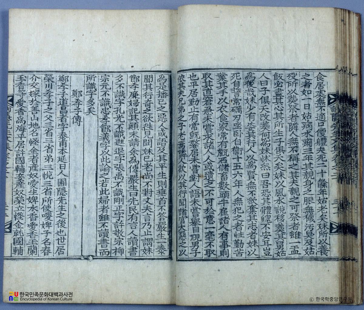 눌은선생문집 / 정효자전