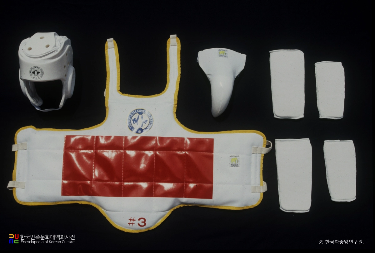 태권도 / 호신구