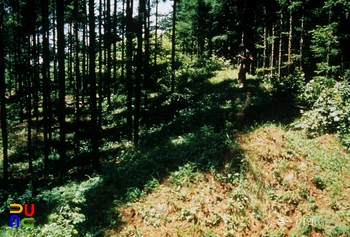 중국 고려 성산산성