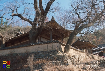 경주 양동마을 심수정