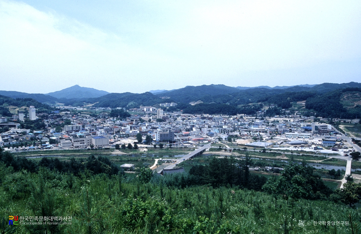 괴산읍 전경