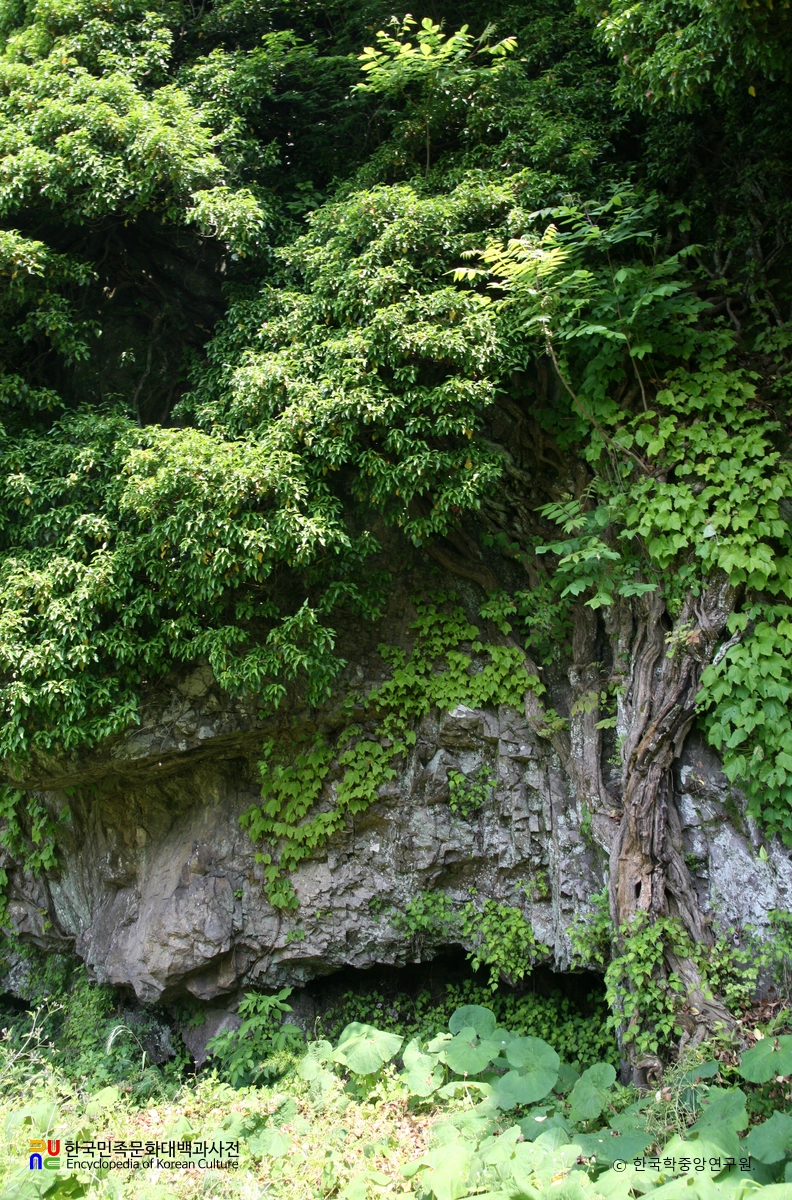 고창 삼인리 송악