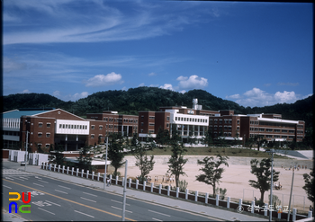 경북고등학교
