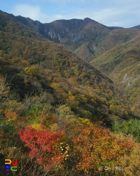 내장산 까치봉