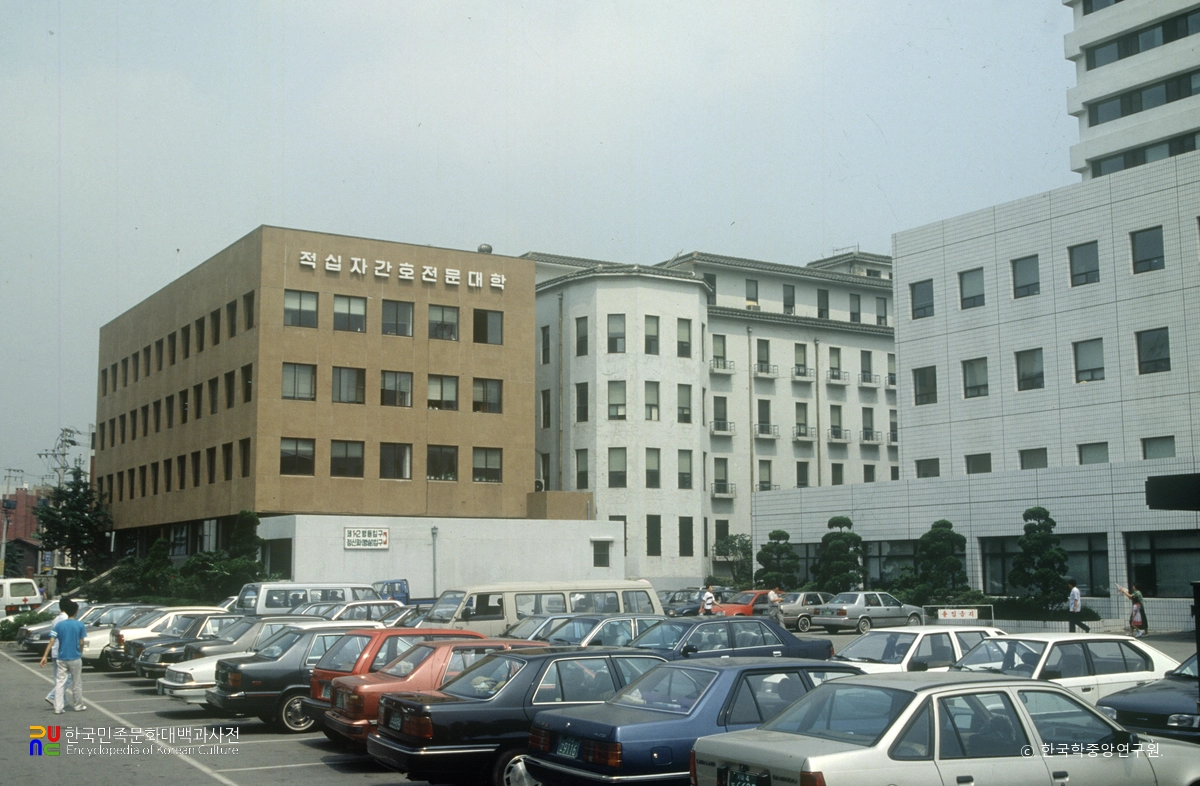 중앙대학교 적십자간호대학