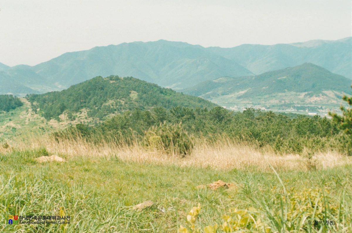 김해 칠산동 고분군
