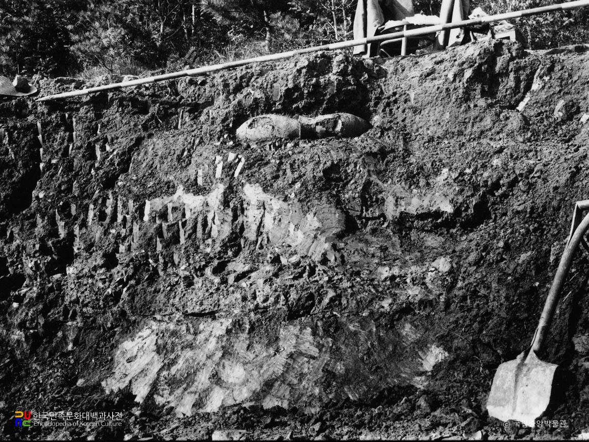 부산 동래 패총 4호 옹관 출토 상태