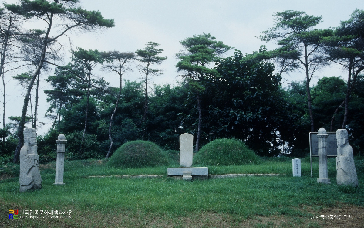 안탄대 선생 묘