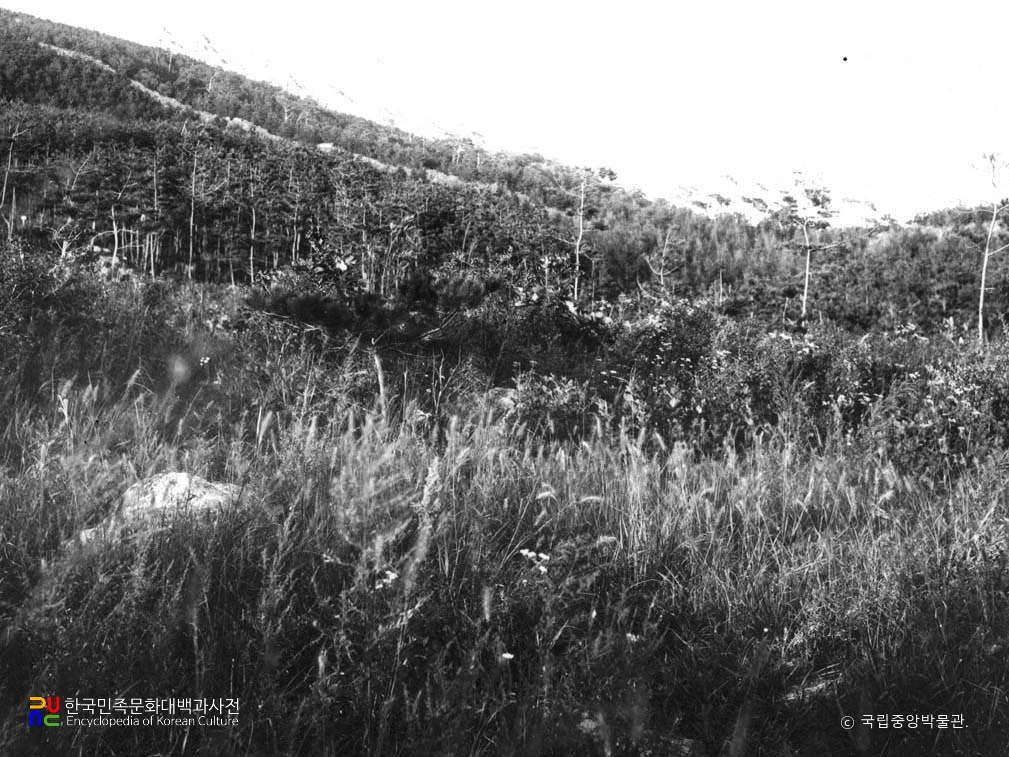 의주 백마산성 전경