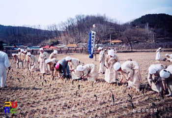 영동 설계리 농요