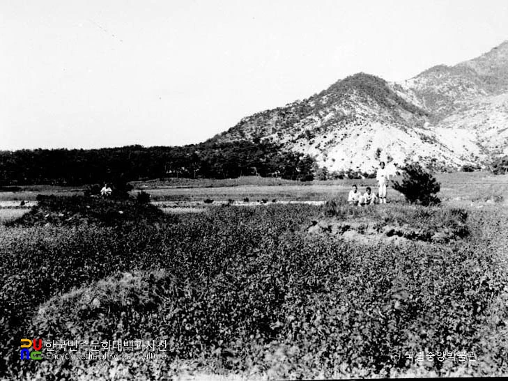 중곡동 갑분과 을분