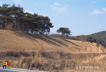 부여 모바일 슬롯 전경