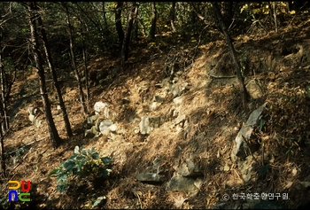 슬롯 버그 청마산성 전경
