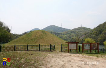 포항 영일 냉수리 고분