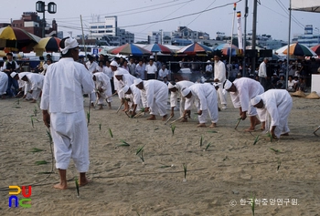 강릉 학산 오독떼기 벼베기