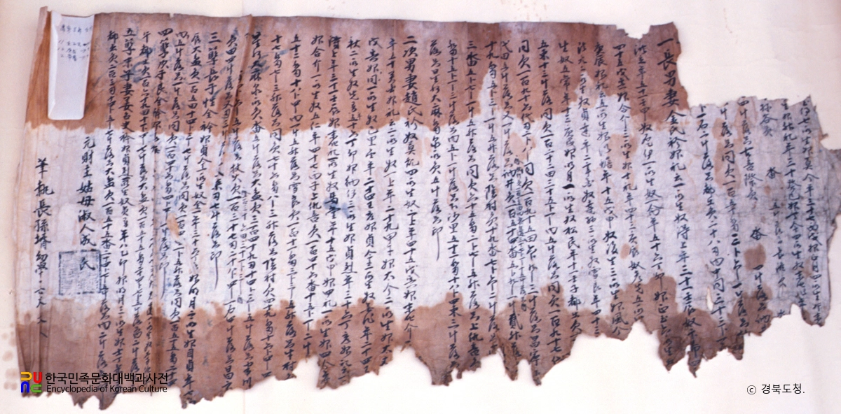 고령박씨 소윤공파 문적