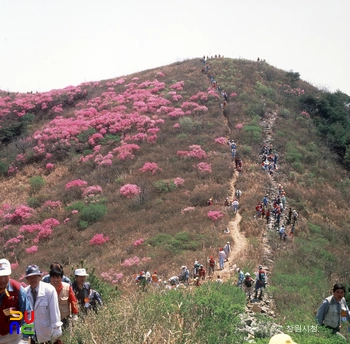 창원 진례산성