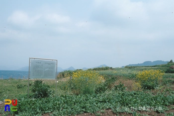 통영 연대도 패총