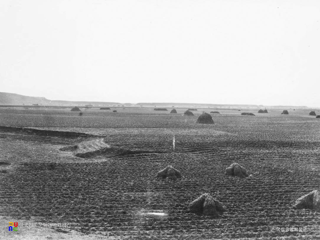 평양성 성벽 원경