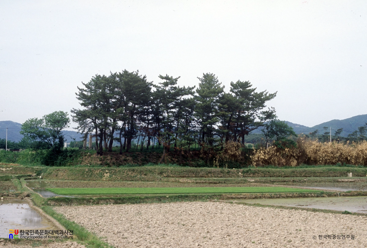 경주 망덕사지 전경