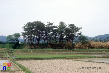 경주 망덕사지 전경