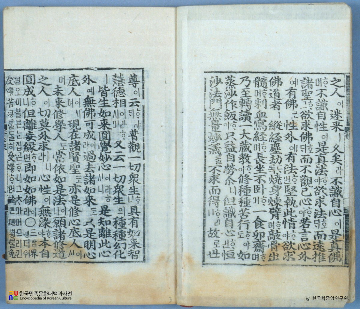 목우자수심결언해 중 본문