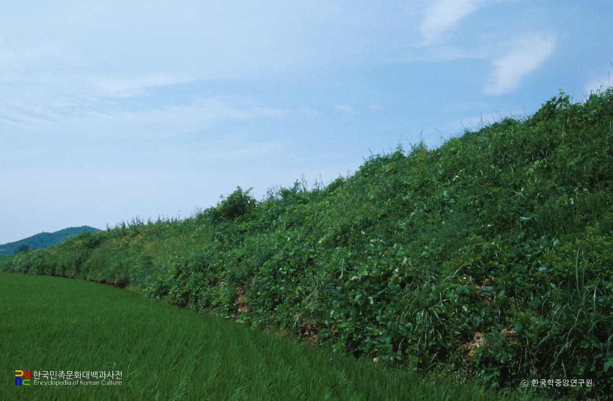 파주 육계토성 성벽