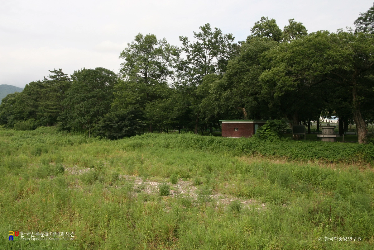 영천 자천리 오리장림