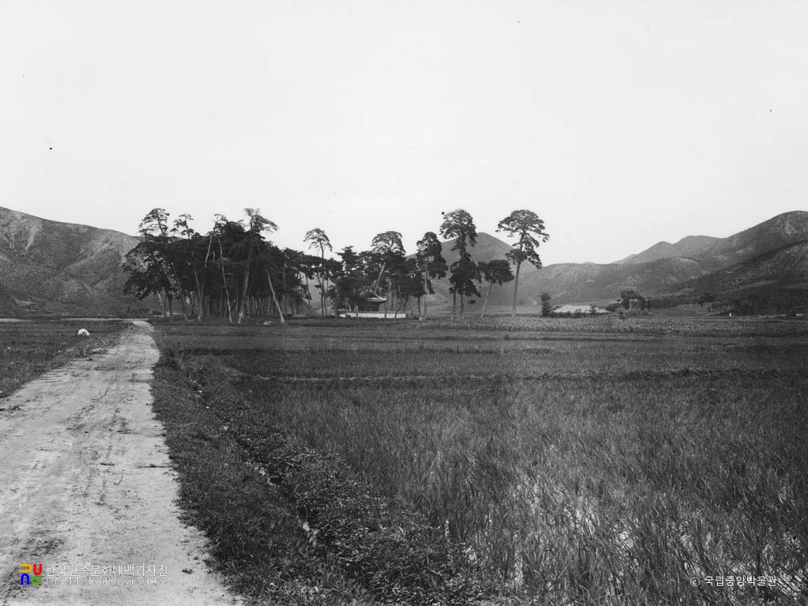 함흥 전 조선 태조 궁지