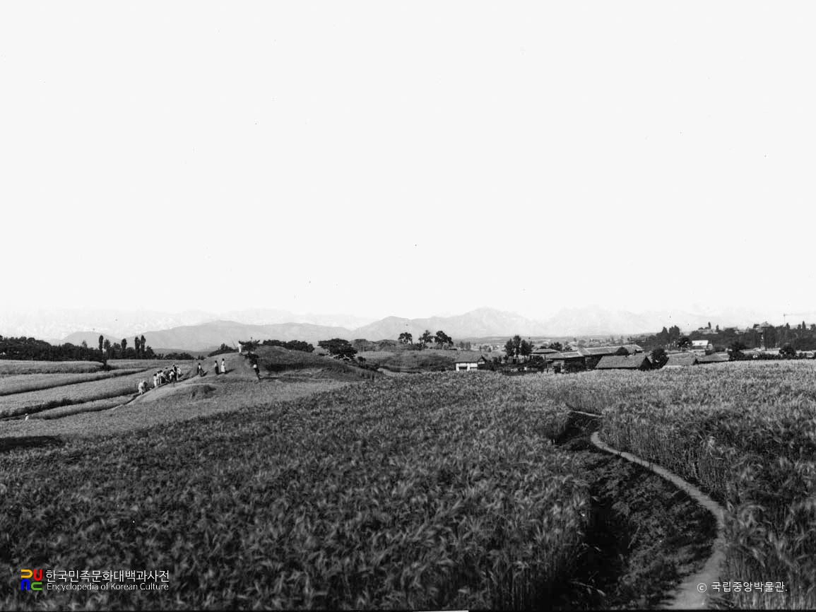 대구 내당동 고분군 전경